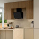 [parent_category] - Аспиратори - Аспиратор Gorenje WHI66236B, стенен
